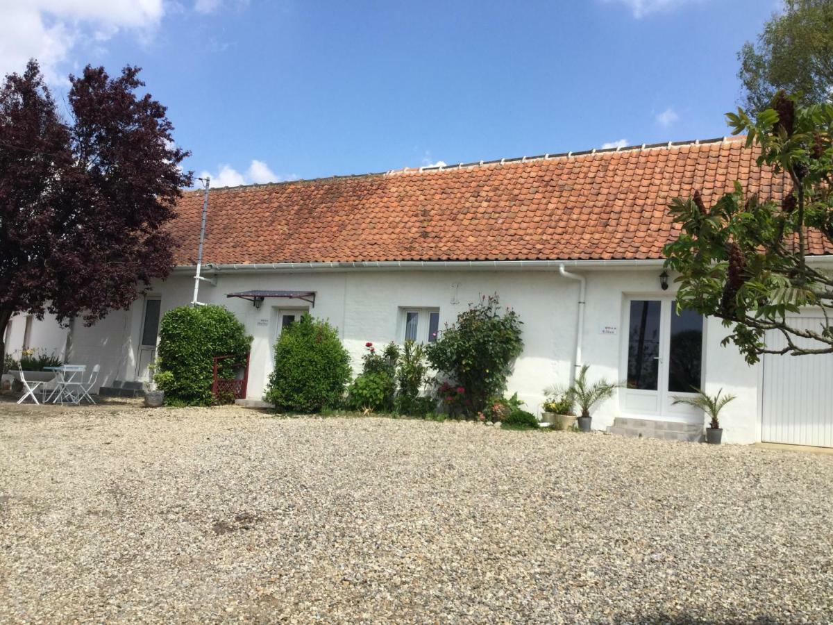 Gites Les Amis De L Authie Maintenay Buitenkant foto